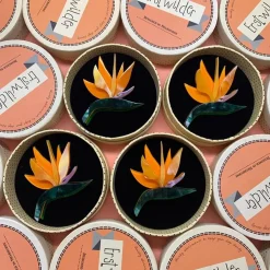 Erstwilder Birds Of A Feather Brooch^ Brooches