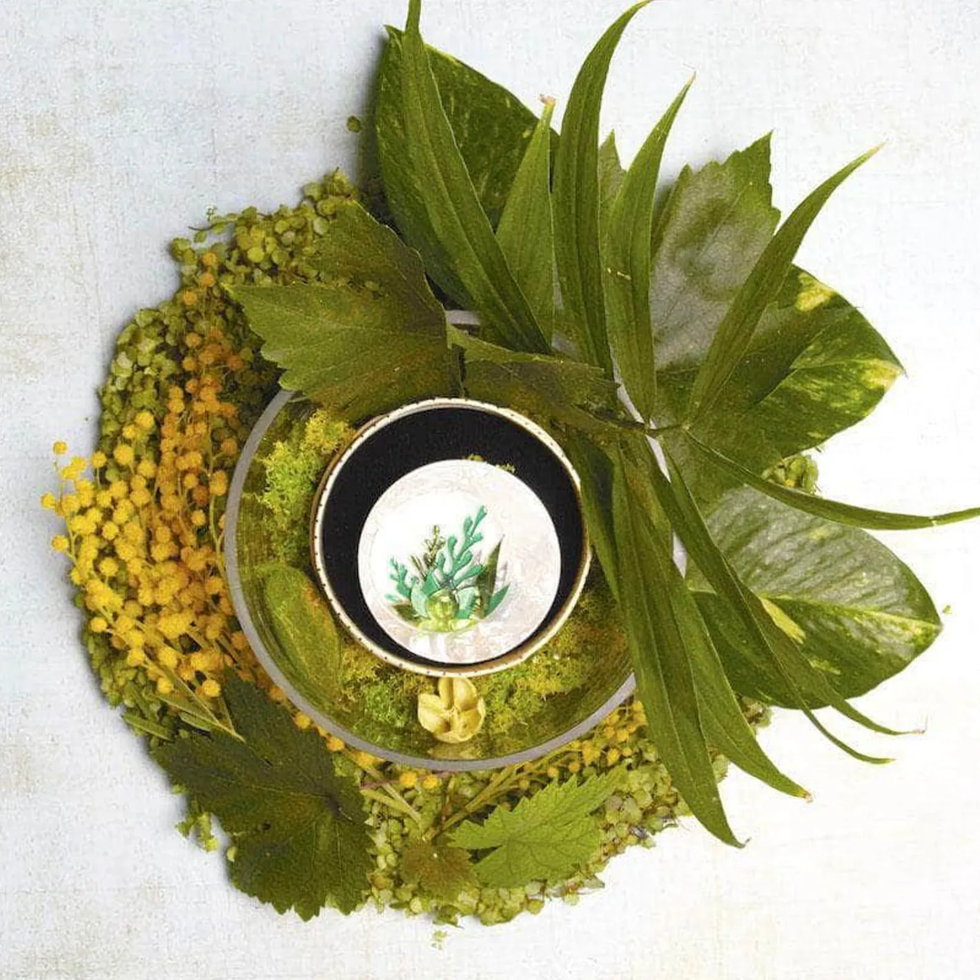 Erstwilder Botanical Abode Brooch^ Brooches