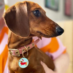 Erstwilder Christmas Spiffy Enamel Pet Charm^ Enamel Key Rings