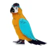 Erstwilder Corey The Macaw Brooch^ Brooches