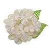 Erstwilder Heartfelt Hydrangea Brooch^ Brooches
