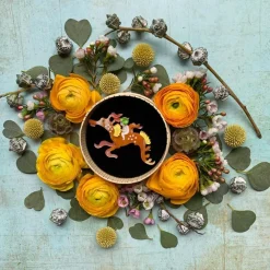 Erstwilder Leafy And The Sea Dragon Brooch^ Brooches