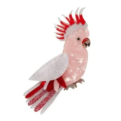 Erstwilder Major Mitch Brooch^ Brooches