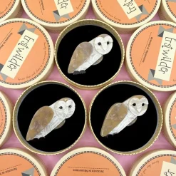 Erstwilder Miah Masked Owl Brooch^ Brooches
