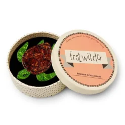 Erstwilder Michelle Sea Turtle Brooch^ Brooches