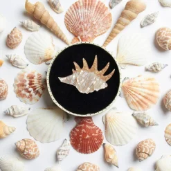 Erstwilder Mobile Home Shell Brooch^ Brooches