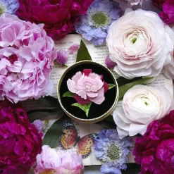 Erstwilder My Little Peony Brooch^ Brooches