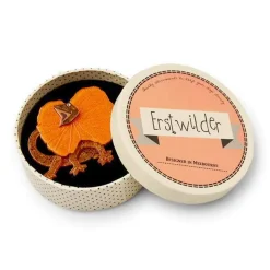 Erstwilder Outback Jacko Lizard Brooch^ Brooches