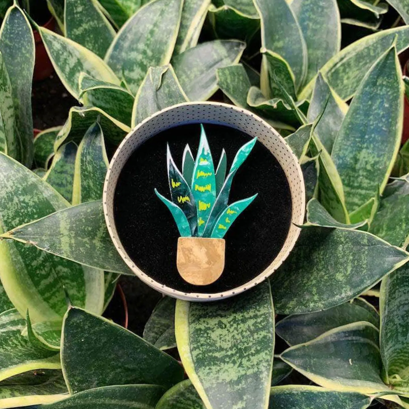 Erstwilder Potted Perfection Brooch^ Brooches