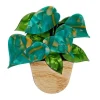 Erstwilder Show Me The Money Plant Brooch^ Brooches