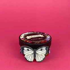 Erstwilder Social Butterfly Brooch^ Brooches