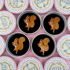 Erstwilder Squirrel Nutkin Brooch^ Brooches