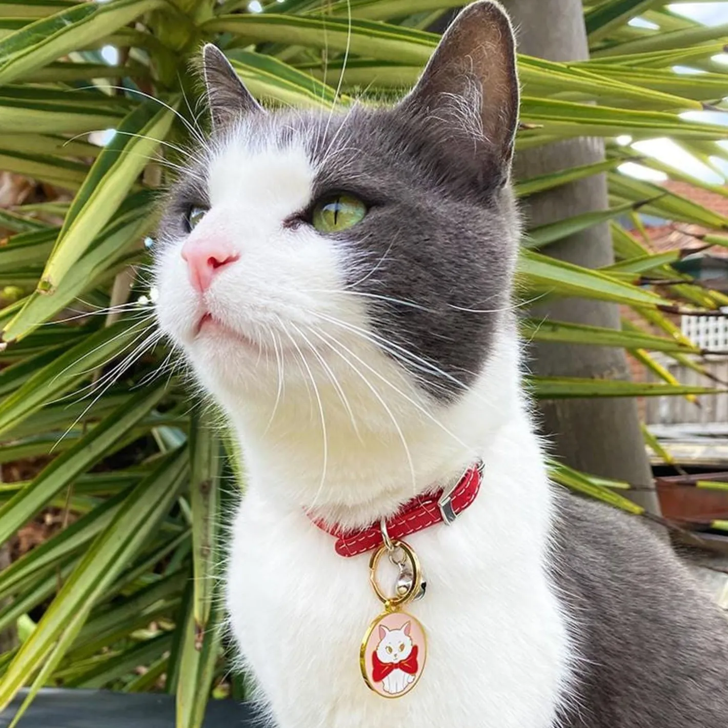 Erstwilder Wrapped Up In Love Enamel Pet Charm^ Enamel Key Rings